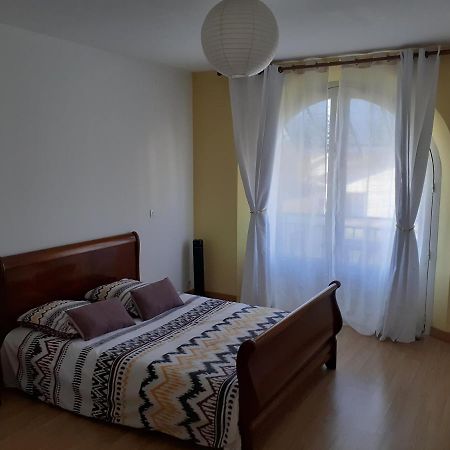 Appartement Spacieux Et Lumineux Oloron-Sainte-Marie Eksteriør billede