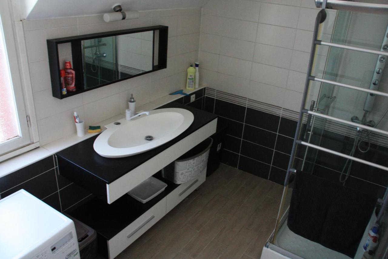 Appartement Spacieux Et Lumineux Oloron-Sainte-Marie Eksteriør billede
