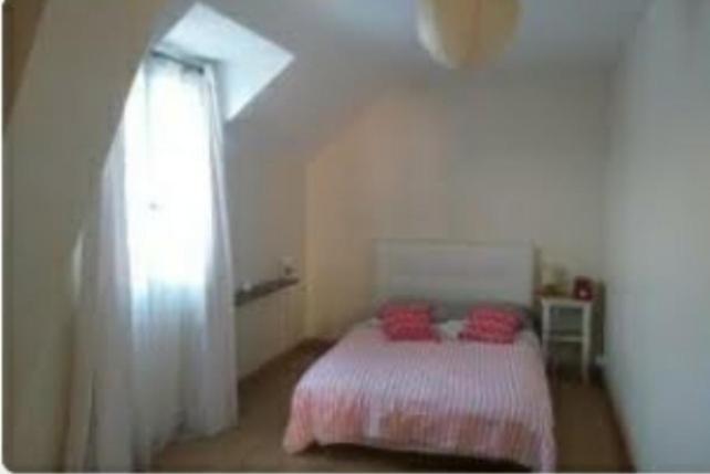 Appartement Spacieux Et Lumineux Oloron-Sainte-Marie Eksteriør billede